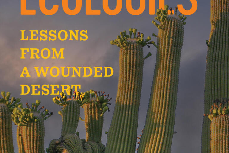 disabled ecologies lessons from a wounded dessert book cover