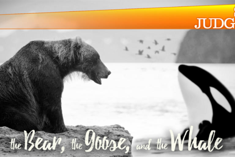 The Bear, The Goose and the Whale | Snap Judgment podcast