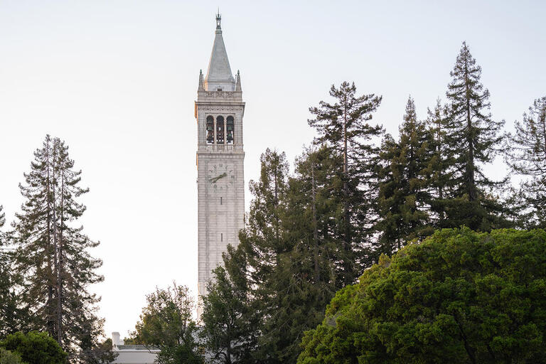 Campanile among trees on a clear day