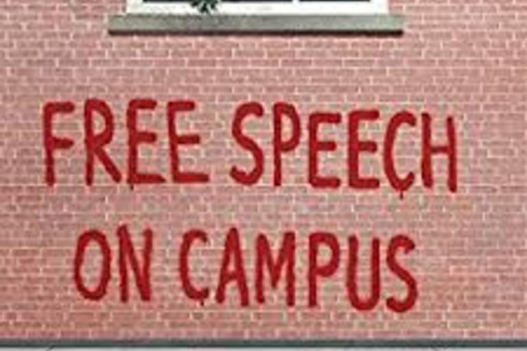 Free Speech by Irwin Chemerinsky and Howard Gillman 