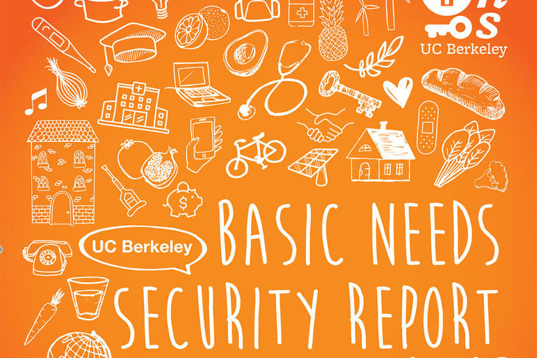 UC Berkeley Basic Needs Report 2016-17