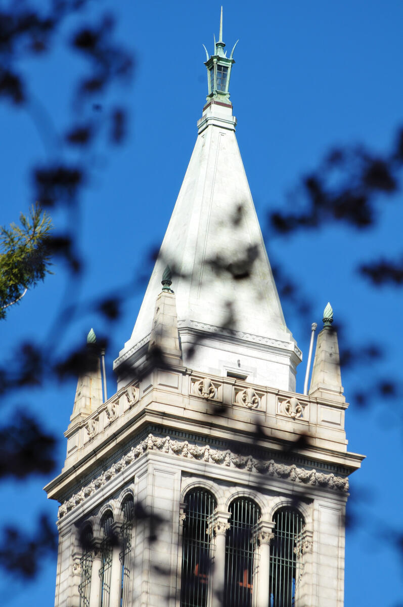 top campanile with tree shadows
