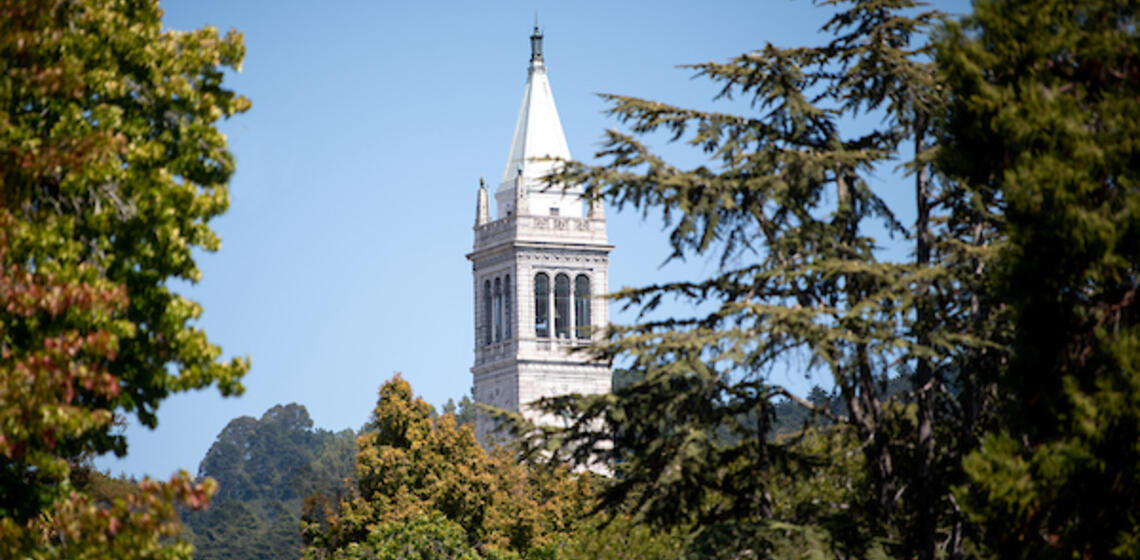 sather gate with trees around it